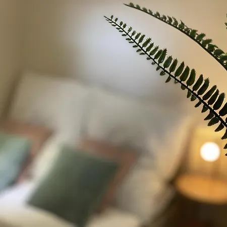 Apartment Lightplace - Boxspring - Parkplatz- Nähe Und Vw